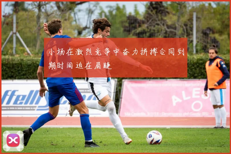 小杨在激烈竞争中奋力拼搏合同到期时间迫在眉睫